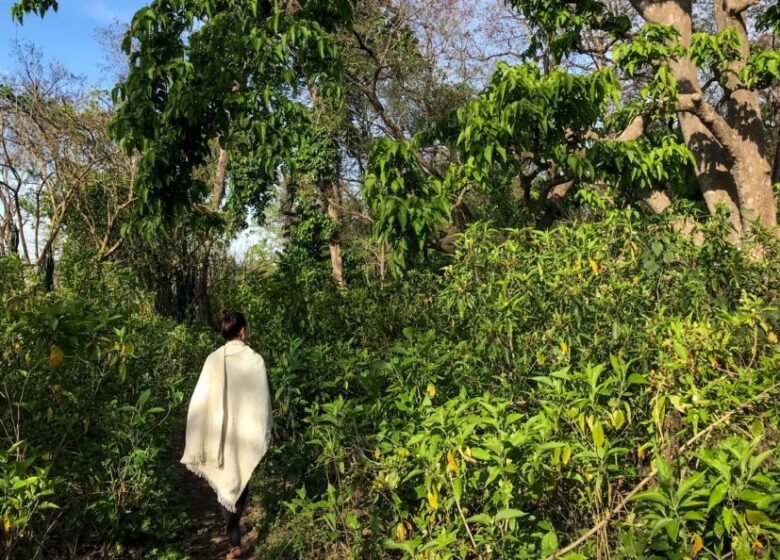 Wie gutes Webdesign entsteht: Ein kleiner Testartikel für dein Layout